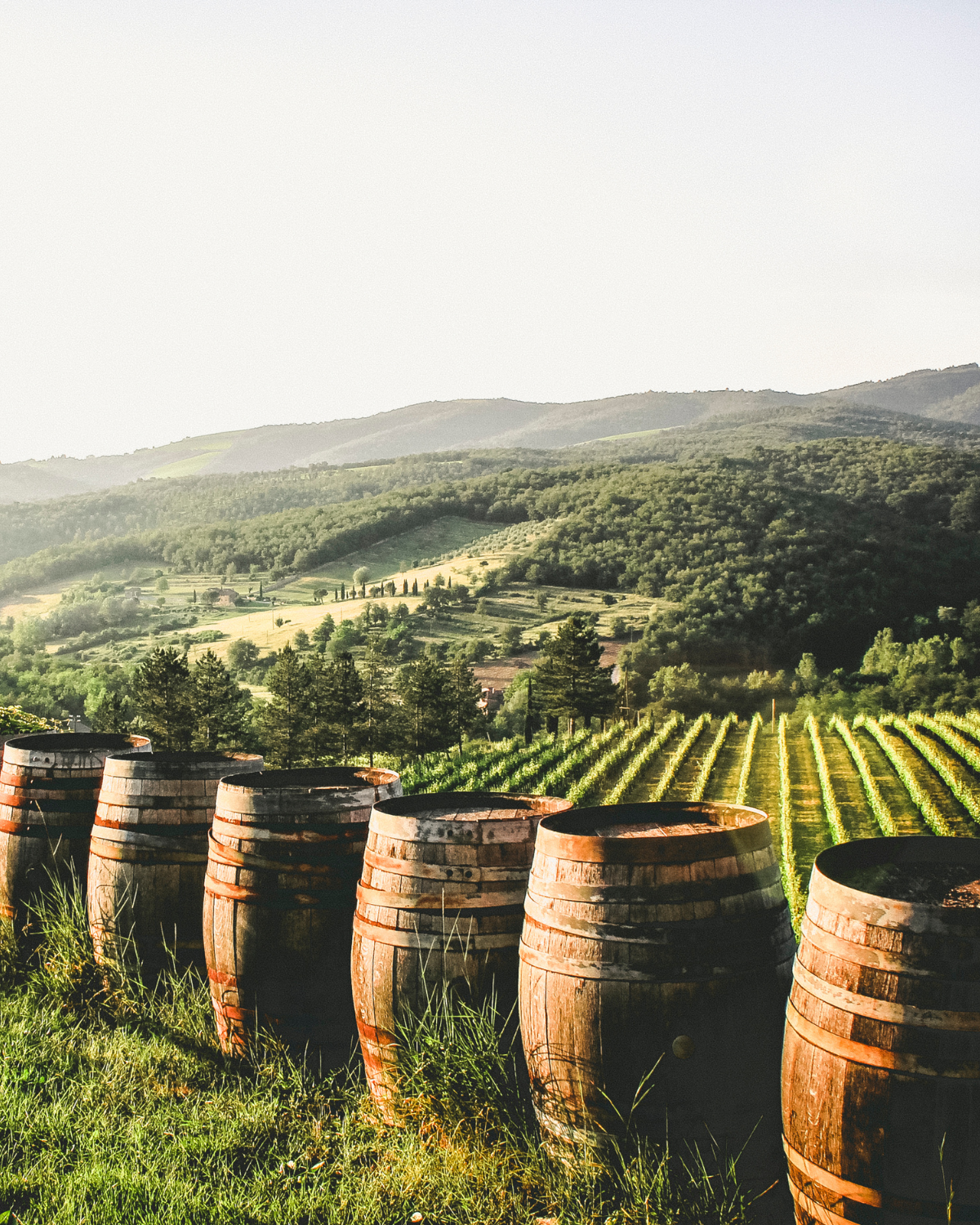 Vidéo domaine viticoles